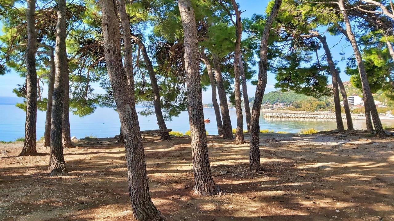 Apartments Zorica Дуче Экстерьер фото
