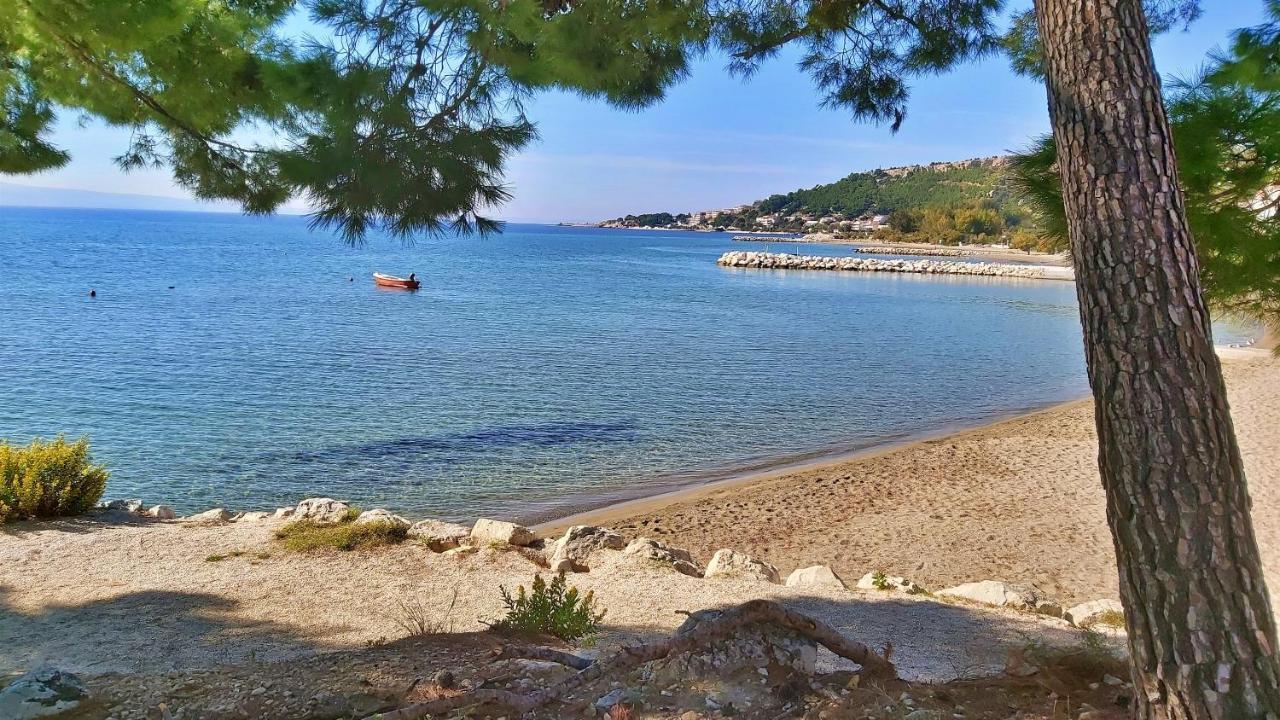 Apartments Zorica Дуче Экстерьер фото